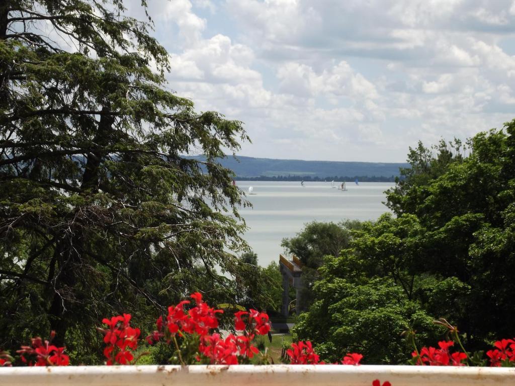 Sir David Balaton Castle Apartmanok Balatonszepezd Eksteriør bilde