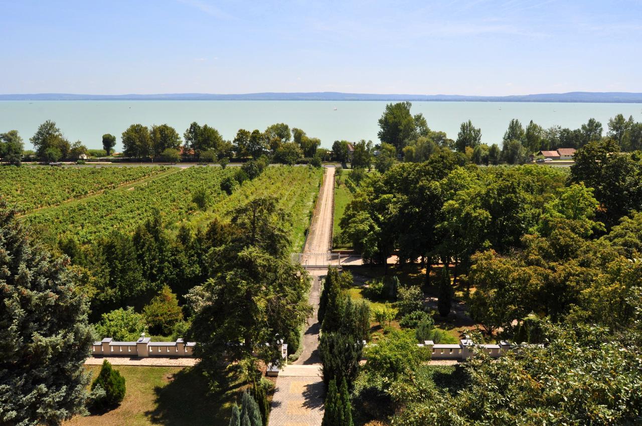 Sir David Balaton Castle Apartmanok Balatonszepezd Eksteriør bilde